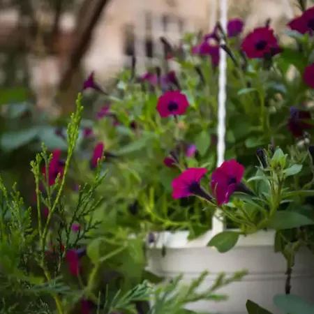 Double With Old Town View