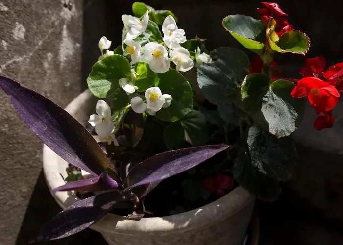 Double With Old Town View *